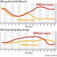La cotation des œufs coquille se raffermit tandis que celle des œufs industriels s'effondre © Source : Les Marchés