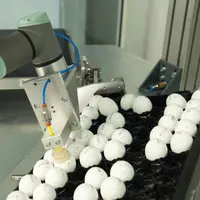 Sur le modèle utilisé fin 2018 par Seleggt, les œufs contenant des mâles sont retirés par un bras automatique, après avoir subi le test de détection d
