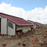 La ventilation statique avec lanterneau coûte plus cher, mais elle a été préférée par Béatrice Laffitte © C. Chabasse