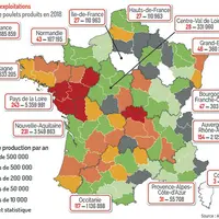 En poulet Bio, c'est la région Pays de la Loire qui a pris le leader ship avec un débordement vers les Deux Sèvres compté en Nouvelle Aquitaine. © Réu