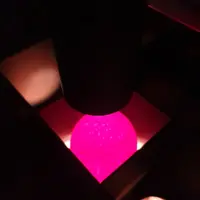 La méthode hyperspectrale in ovo d’AAT permet de distinguer la différence de coloration du duvet des embryons mâles (clair) et femelles (sombre) à 13