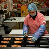 La reprise de Ronsard met en sommeil le projet d'abattoir de poulet lourd à Châteaulin (Finsitère) © P. Le Douarin