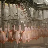 Le bien-etre animal s'invite en force, avec une enveloppe spécifique aux abattoirs, mais aussi avec un pacte biosécurité-bien-être destiné aux éleveur