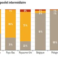 Segmentation de la production de poulet par pays © source : Itavi