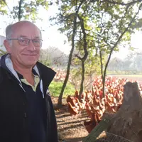 « Aujourd’hui, la volaille de Janzé n’est plus une production complémentaire. C’est elle qui incite les jeunes à installer, comme mon fils Mathieu qui