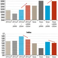Essai expérimental réalisé en Argentine (2019)Poids vif et indice de consommation comparés entre régimes standards et allégés en Calcium et phosphore,
