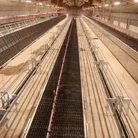 Le plateau Poulivol relevable jusqu'au plafond est spécialement destiné aux poulettes  © P. Le Douarin