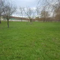 Le parcours de 1,2 ha a été aménagé entre 1990 et 2012, essentiellement avec des arbres destinés à créer de l’ombrage. © Itavi
