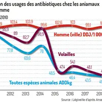 Évolution comparée des indices d’exposition en médecine vétérinaire et médecine de ville (hors hôpitaux)Les indices d’exposition comparés mesurent les