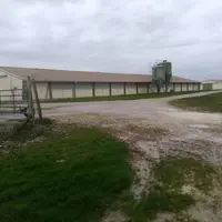 Les deux bâtiments « froids » (sans chauffage) de 800 m2 ont été construits après la tempête Klaus de 2009 et abritaient 6000 canards en décembre dern
