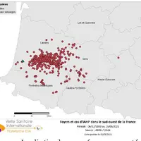 Plus de 3 millions de canards et de volailles ont été euthanasiés ou abattus depuis le 5 décembre 2020 © Platforme ESA