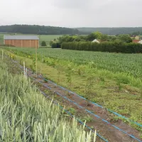 Le plan de gestion durable des haies porte sur la plantation ainsi que sur l’amélioration du linéaire mis en place. © A. Puybasset