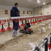 Les ressorts haute résistance en rotation de l'aérateur Aélavia cassent la croute de litière. © Pubert