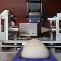 Après la phase de tests en grandeur nature, les premiers canetons mulard ovosexés seront vraisemblablement commercialisés début 2022. © ORVIA