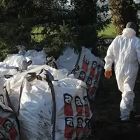 Les déchets et plaques amiantés sont emballés dans des contenants identifiables (logo A), avant d’être livrés à une décharge habilitée ou stockés au m