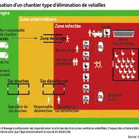 Tout chantier d’élevage à euthanasier est organisé selon le principe des trois zones sanitaires emboîtées. Le site a d’abord été évalué par photo aéri
