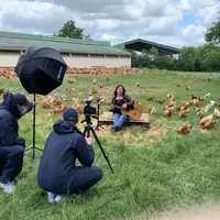 Tournage à La Chapelle-du-Genêt (Maine-et-Loire) de la nouvelle campagne nationale d’information et de promotion intitulée Label et la Volaille.