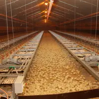 Eclosion à la ferme (concept X-Treck)