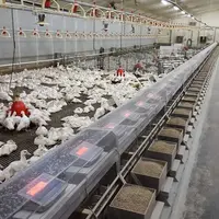 Le passage des lignées pures en station collective de contrôle alimentaire avec mesure individuelle a fait progresser les connaissances sur le comport