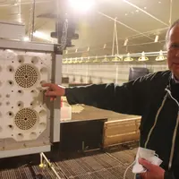 Les premiers tests français ont commencé en 2020 chez Bernard de la Morinière, enthousiasmé par l'impact sur le ressenti de l'ambiance