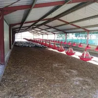 Les deux bâtiments de desserrage ont été agrandis en 2017 pour loger 4,5 canards au m2.