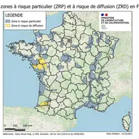 Par rapport au risque influenza, la France comporte trois zones : communes à risque d'introduction privilégiée (ZRP) et à risque de diffusion (ZRP) où