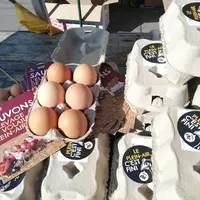 Le 14 octobre à Paris a eu lieu la vente des « 10 000 derniers œufs de poules en plein air ».
