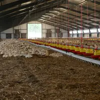 Depuis la première épizootie d'influenza aviaire la Capel invite ses adhérents à investir dans des bâtiments plus grands permettant d'allier le sanita