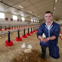 Théo Ripoche, 23 ans, s'est installé avec un nouvel atelier avicole pour diversifier l'exploitation bovine.