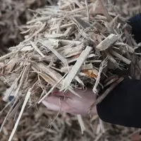 Les éleveurs bretons ont besoin d’un vrai coup de pouce pour utiliser plus de bois comme combustible de remplacement du gaz.