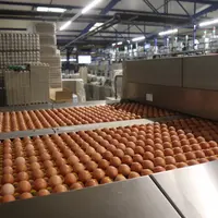 Ne pas répercuter depuis plus d'un an une hausse de l'aliment supérieure à 20 % dans un secteur réalisant de faibles marges s'avère catastrophique.