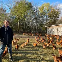 Nicolas Petit a initié l’agroforesterie sur la Ferme en Coton pour son élevage de volailles de chair et de poules pondeuses, il y a vingt ans.
