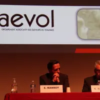 Après les taux de pododermatites qui se sont nettement améliorés, le Gaévol est challengé par le groupe LDC sur les taux d'ailes cassées, à la demande