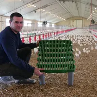 Julien Leballeur : «Ce perchoir fait maison est très facile à nettoyer et à déplacer, peu coûteux et fonctionne bien pour les lots de poulet à croissa