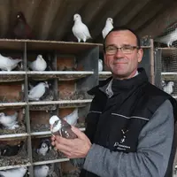 Passionné par cet oiseau très attachant, Ludovic Guillaume s'est lancé dans son élevage de pigeon pour la seconde fois et espère que ce sera la bonne.