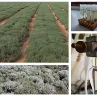 Éleveurs et vétérinaires utilisateurs de plantes plaident pour une évolution de la réglementation sur les produits à base de plantes ou d'extraits, ay