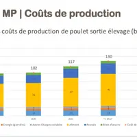 [Infographie] La flambée de l’aliment pèse lourdement sur le coût du poulet
