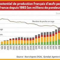 En graphique - Une conversion très rapide des élevages vers l’œuf alternatif