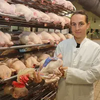 L'abattoir Allier Volailles compte rapidement passer à 500 pièces d'AOP bourbonnais entières commercialisées sur Paris et dans la région.