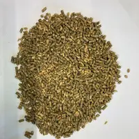 Blé entier mélangé avec l'aliment complémentaire sous forme de miettes.