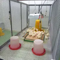 Installation expérimentale utilisée pour la captation sonore dans les deux salles de Inrae de Nouzilly. Les microphones sont placés au plus proche des