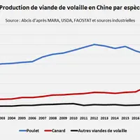 La production chinoise de volailles est repartie en forte croissance en 2018 avec l'épidémie de peste porcine sur le territoire chinois. © Abcis