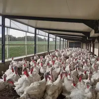 Transformer le canardier en poulailler Terre-Neuve permet de réduire la densité tout en gardant le même nombre d’animaux avec un investissement maitri