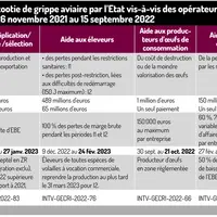 Le casse-tête des indemnisations de la grippe aviaire