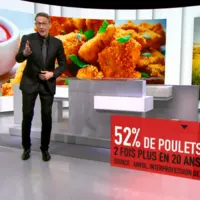 Julien Courbet Capital M6 poulet brésilien