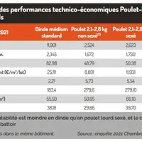 Les résultats technico économiques de la dinde comparés à ceux du poulet