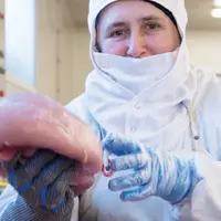 La Toque Bretonne a changé de mains