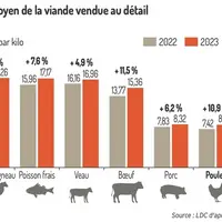 Le poulet reste la viande la plus compétitive pour les consommateurs