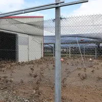 Les deux poussinières de 320 m2 accueillent du gibier et de la volaille de chair en intersaison.