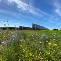 Pour maintenir un équilibre entre production agricole et production énergétique, le taux maximal d’emprise envisagé par décret ne devrait dépasser 30